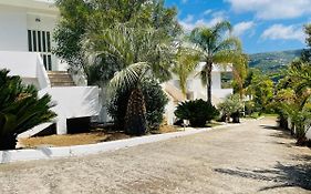 Il Giardino Di Capo Vaticano B&B And Apartments