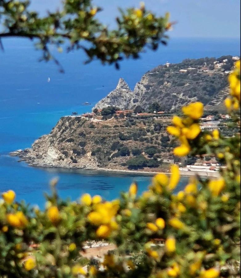 Il Giardino Di Capo Vaticano B&B And Apartments Extérieur photo