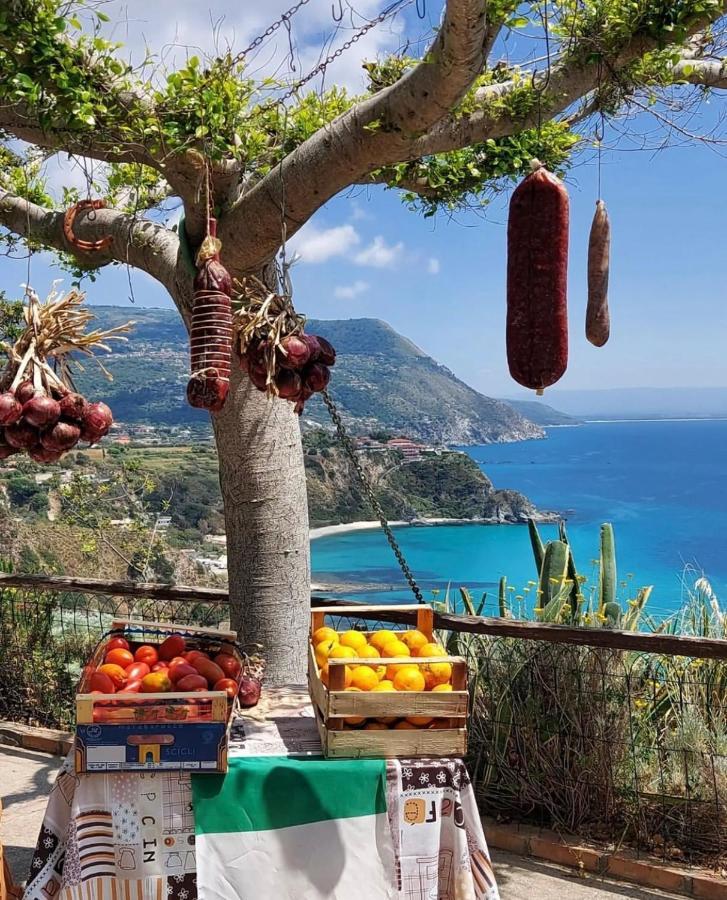 Il Giardino Di Capo Vaticano B&B And Apartments Extérieur photo
