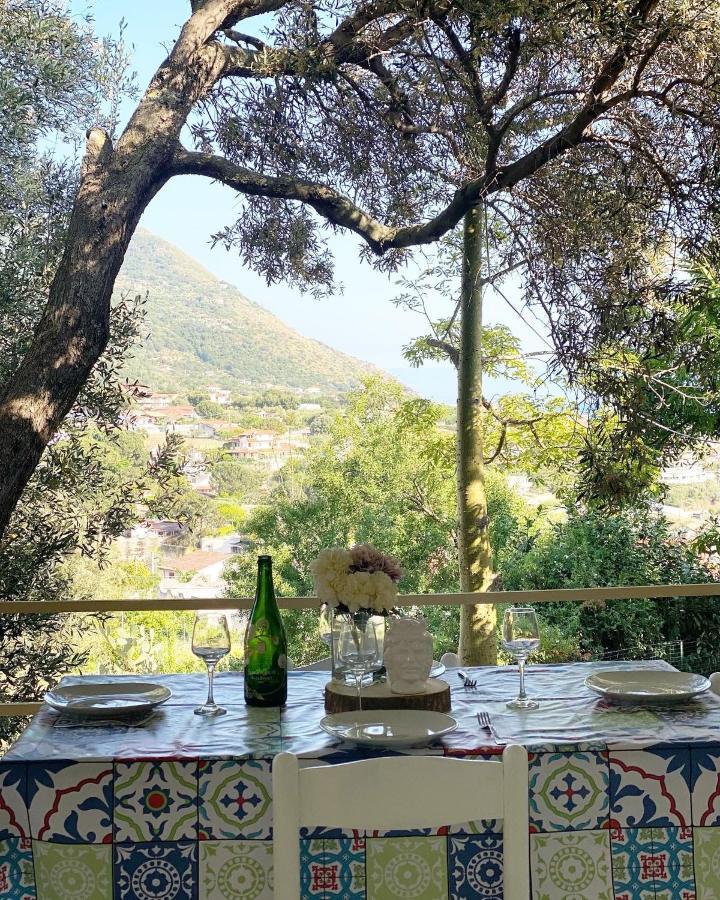 Il Giardino Di Capo Vaticano B&B And Apartments Extérieur photo