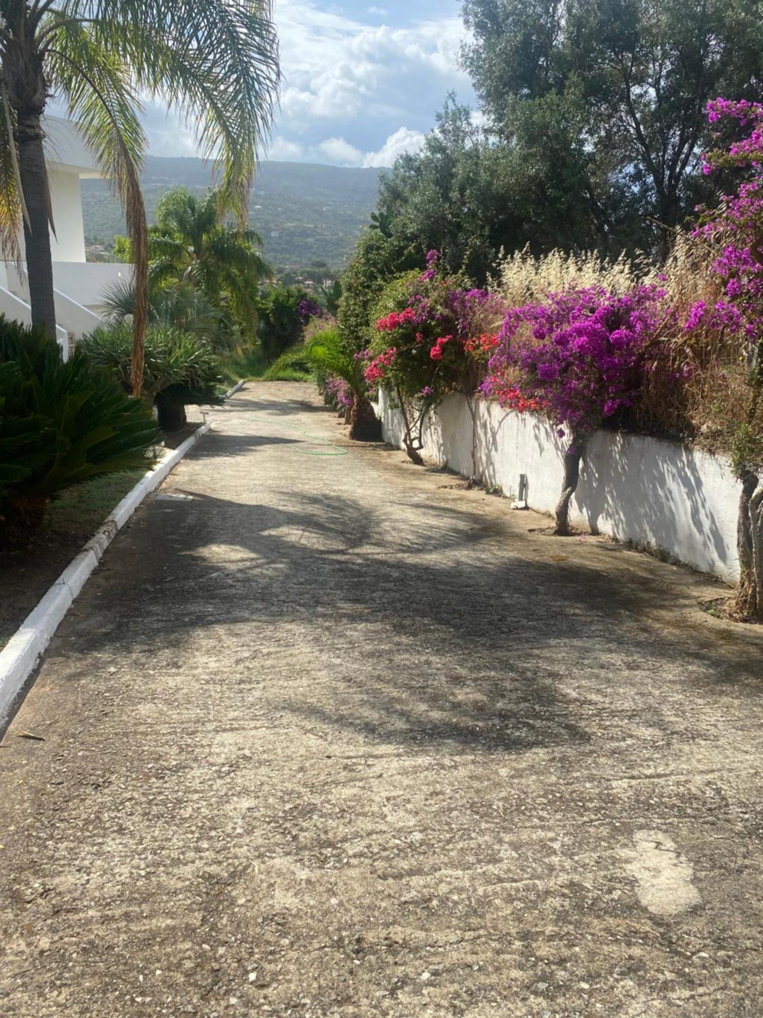 Il Giardino Di Capo Vaticano B&B And Apartments Extérieur photo